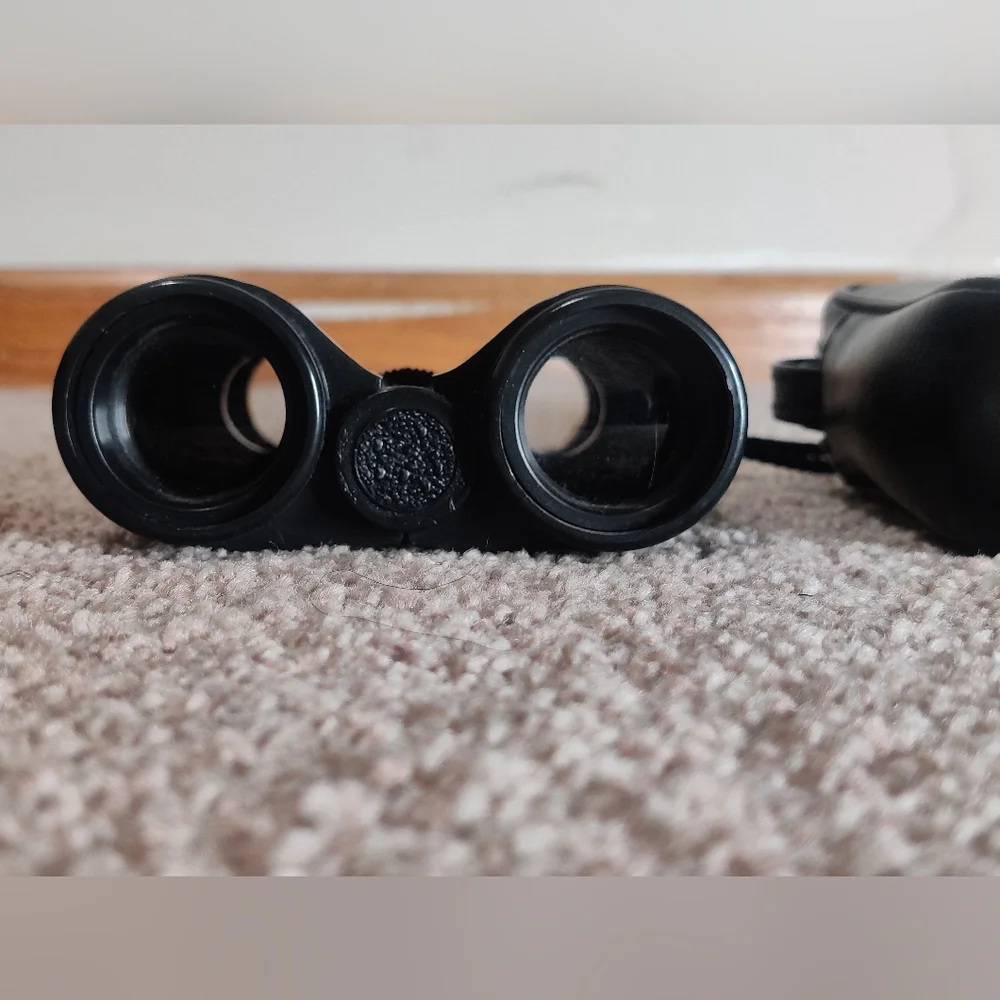 Vintage Binoculars with Case (4x30)